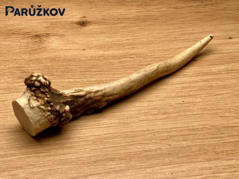 SRNČÍ PAROHY (16 cm)