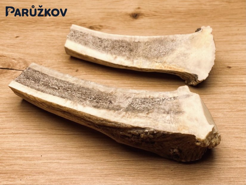 DANČÍ PAROHY - Duo - půlené (14 cm)