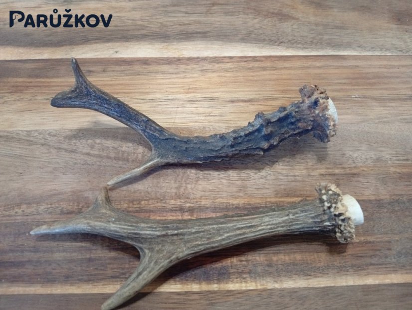 SRNČÍ PARŮŽEK PRO PSY - 18 cm - DUO