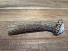 JELENÍ PARŮŽEK PRO PSY - 14 cm - PŮLENÝ