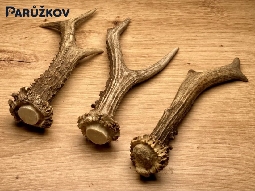 SRNČÍ PAROHY - Trio (18 cm)