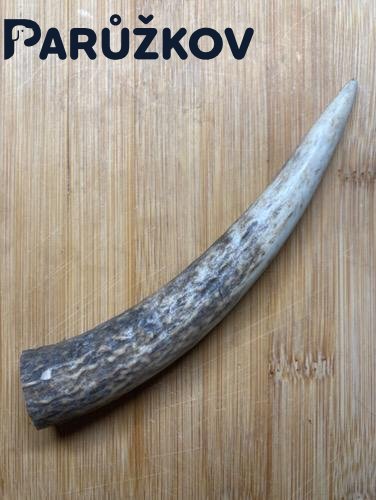 JELENÍ PARŮŽEK PRO PSY ROH 15,5cm