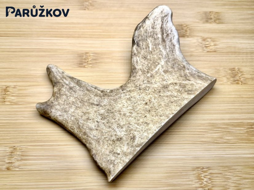 DANČÍ PAROHY (14 cm)