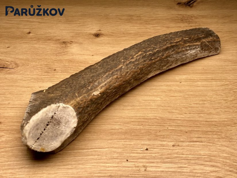 JELENÍ PAROHY - Půlený (24 cm)