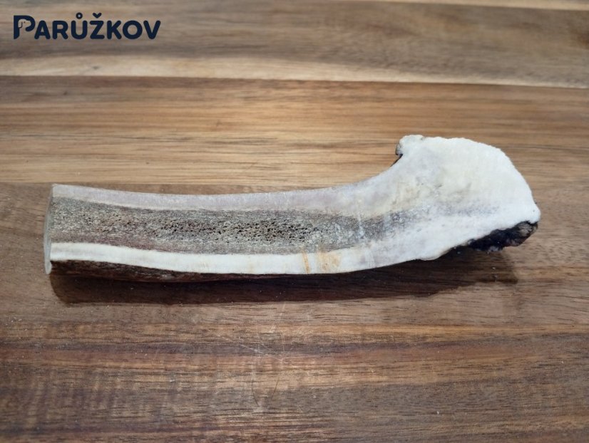 JELENÍ PARŮŽEK PRO PSY - 14 cm - PŮLENÝ