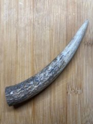 JELENÍ PARŮŽEK PRO PSY ROH 15,5cm