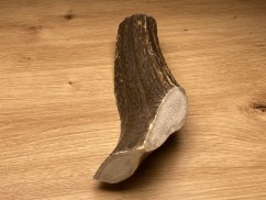 JELENÍ PAROHY - Půlený (19 cm)