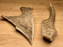 DANČÍ PAROHY - Duo (19 cm)