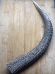 JELENÍ PARŮŽEK PRO PSY ROH 30,4cm