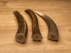 JELENÍ PAROHY - Trio - rohy (13 cm)