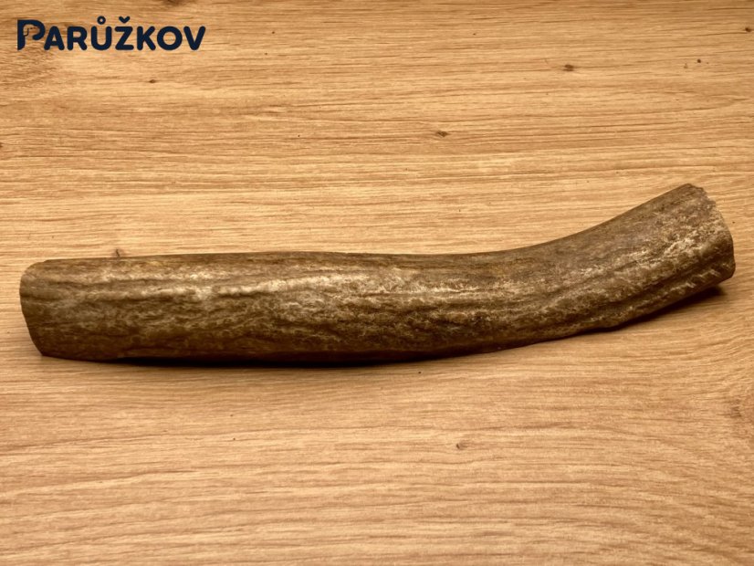 JELENÍ PAROHY - Půlený (16 cm)