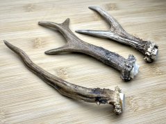 SRNČÍ PAROHY - Trio (17 cm)