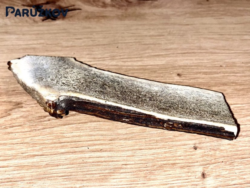 JELENÍ PAROHY - Půlený (13 cm)