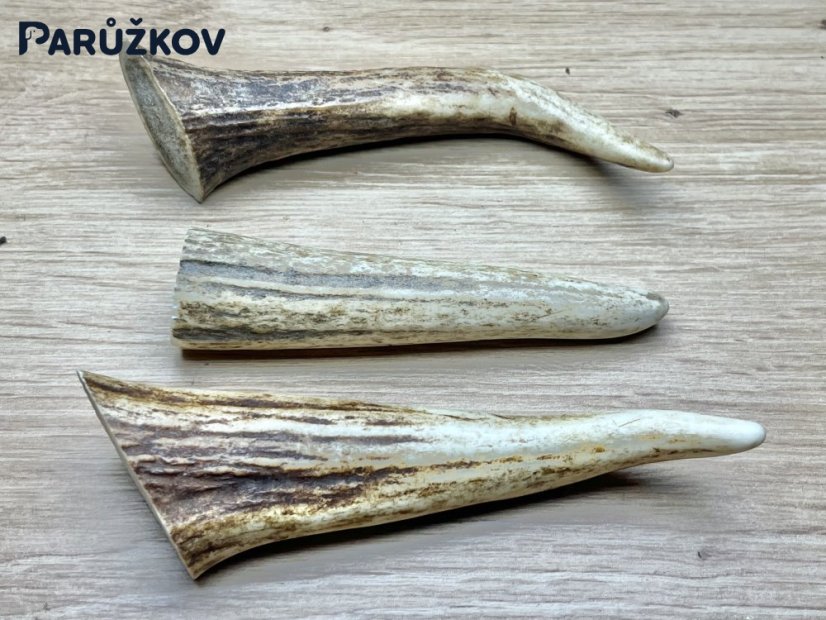 JELENÍ PAROHY - Trio - rohy (12 cm)
