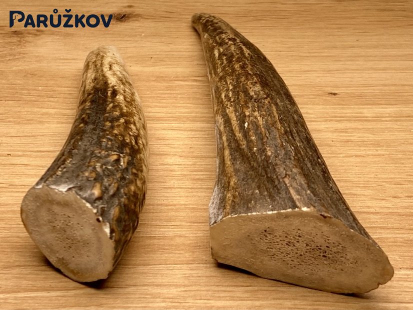 JELENÍ PAROHY - Duo - rohy (18 cm)