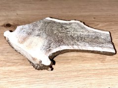 JELENÍ PAROHY - Půlený (14,5 cm)