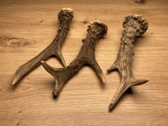 SRNČÍ PAROHY - Trio (19 cm)
