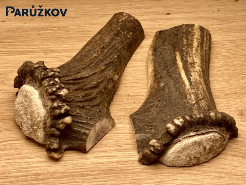 JELENÍ PAROHY - Duo - půlené (14 cm)
