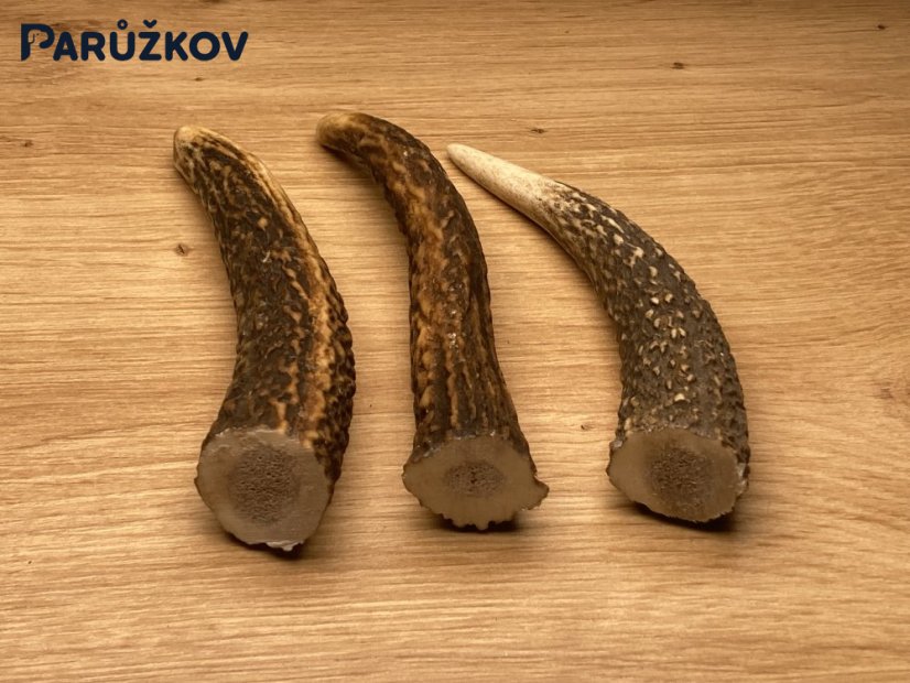 JELENÍ PAROHY - Trio - rohy (13 cm)