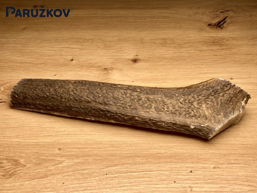 JELENÍ PAROHY - Půlený (24 cm)