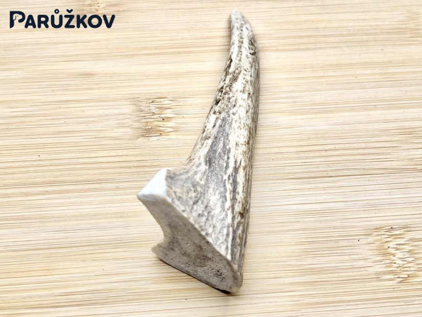 DANČÍ PAROHY (11 cm)