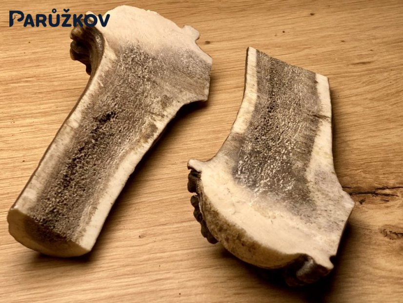 JELENÍ PAROHY - Duo - půlené (14 cm)