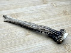 SRNČÍ PAROHY (16 cm)