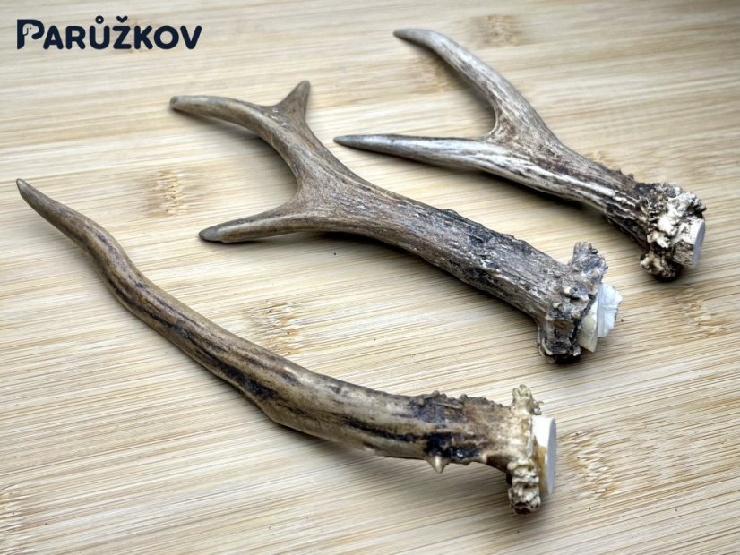 SRNČÍ PAROHY - Trio (17 cm)