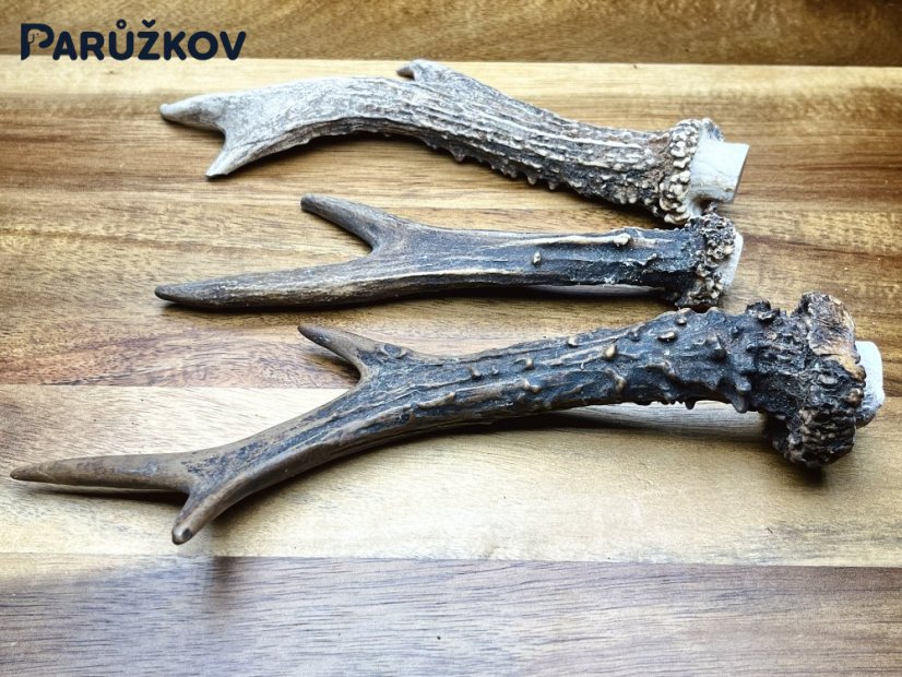 SRNČÍ PAROHY - Trio (18 cm)