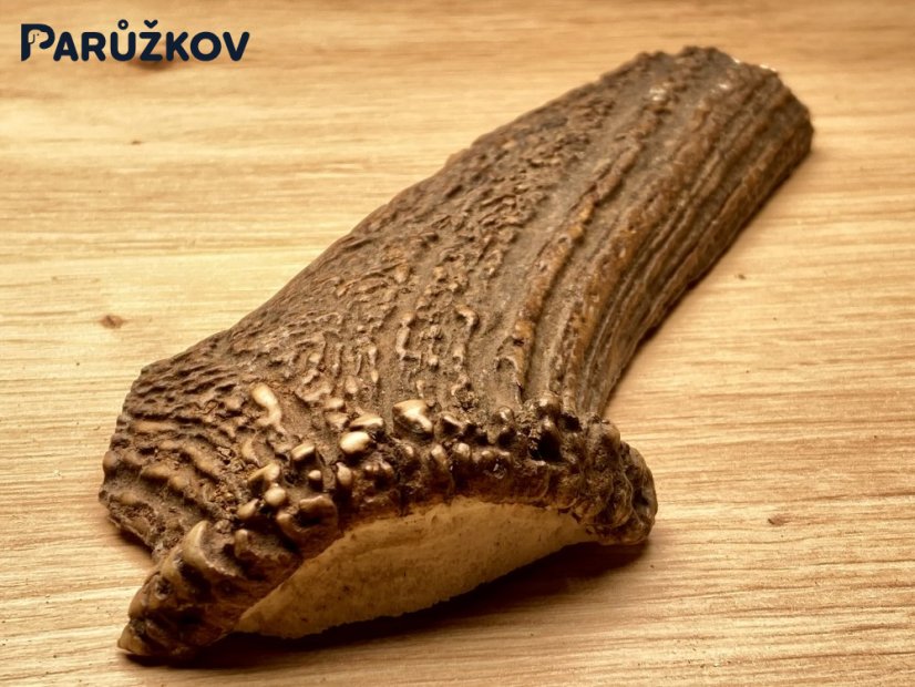 JELENÍ PAROHY - Půlený (18 cm)