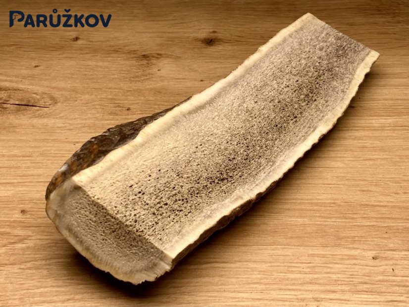 JELENÍ PAROHY - Půlený (19 cm)