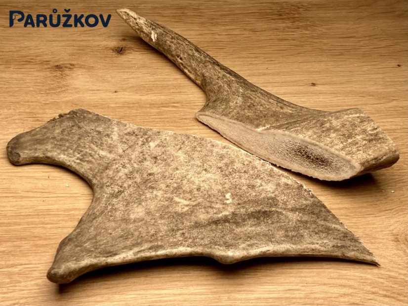 DANČÍ PAROHY - Duo (19 cm)
