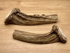 DANČÍ PAROHY - Duo - půlené (16 cm)