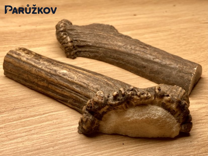 JELENÍ PAROHY - Duo - půlené (13 cm)