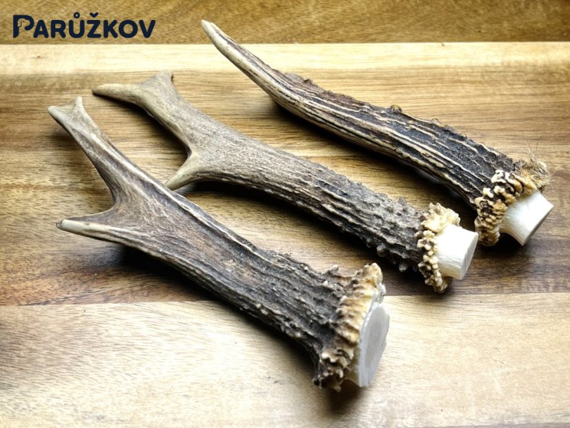 SRNČÍ PAROHY - Trio (15 cm)