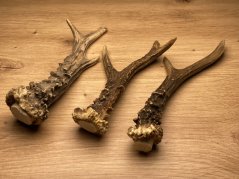 SRNČÍ PAROHY - Trio (19 cm)