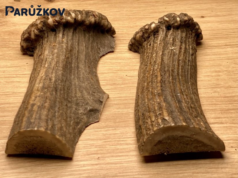 JELENÍ PAROHY - Duo - půlené (14 cm)