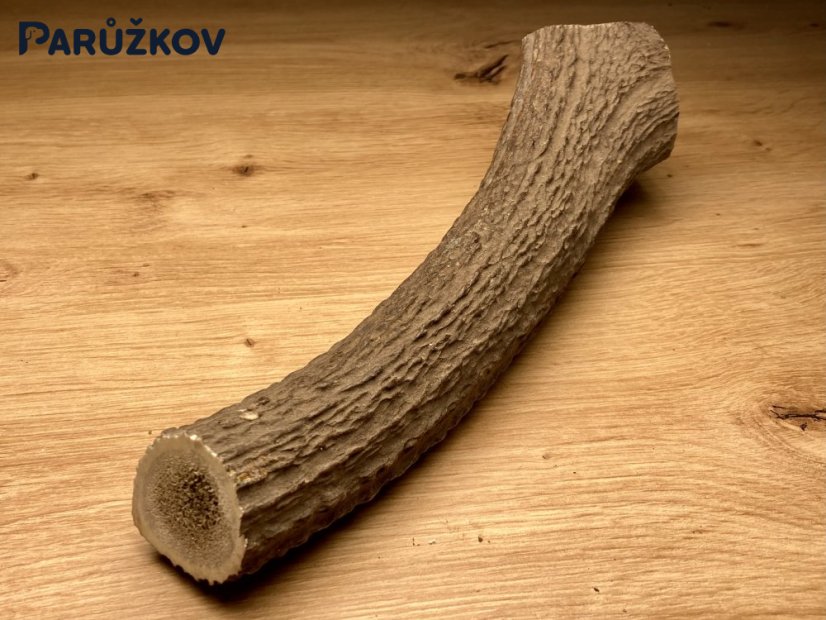 JELENÍ PAROHY (25 cm)
