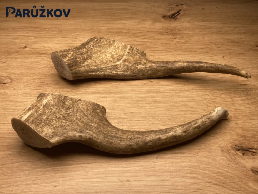 DANČÍ PAROHY - Duo (22 cm)