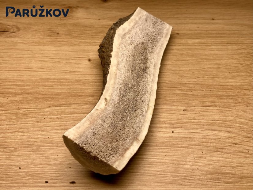 JELENÍ PAROHY - Půlený (17,5 cm)