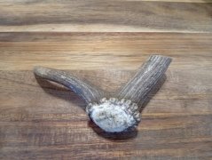 JELENÍ PARŮŽEK PRO PSY - 15 cm