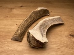 DANČÍ PAROHY - Duo (17 cm)