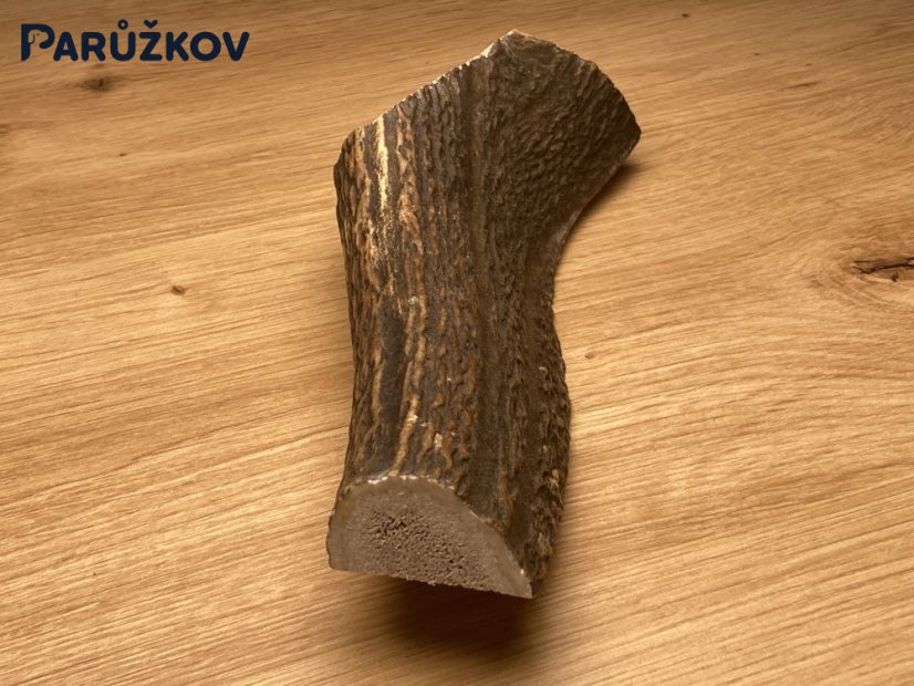 JELENÍ PAROHY - Půlený (19 cm)