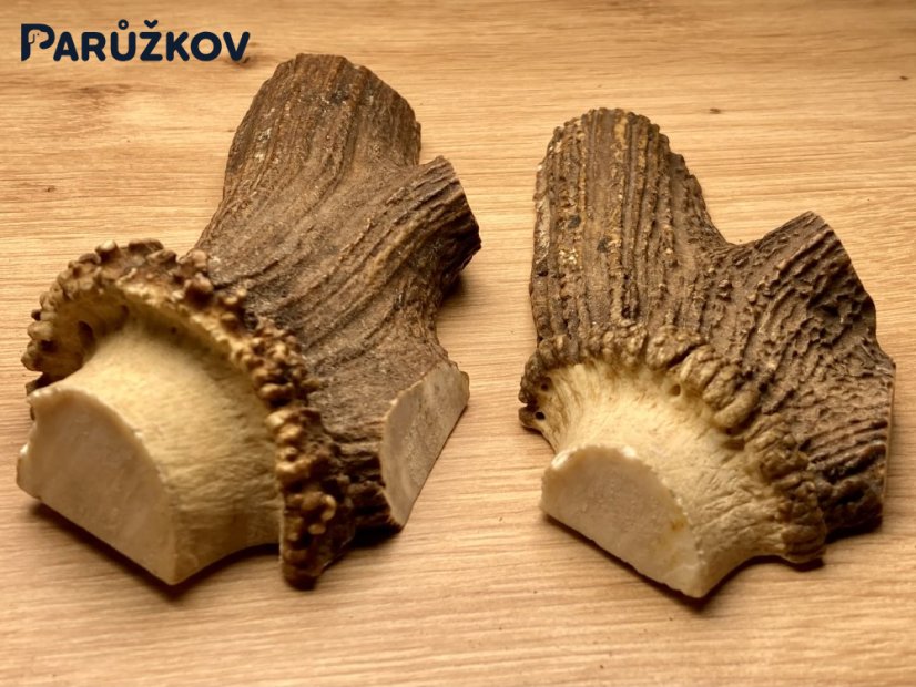 JELENÍ PAROHY - Duo - půlené (15 cm)