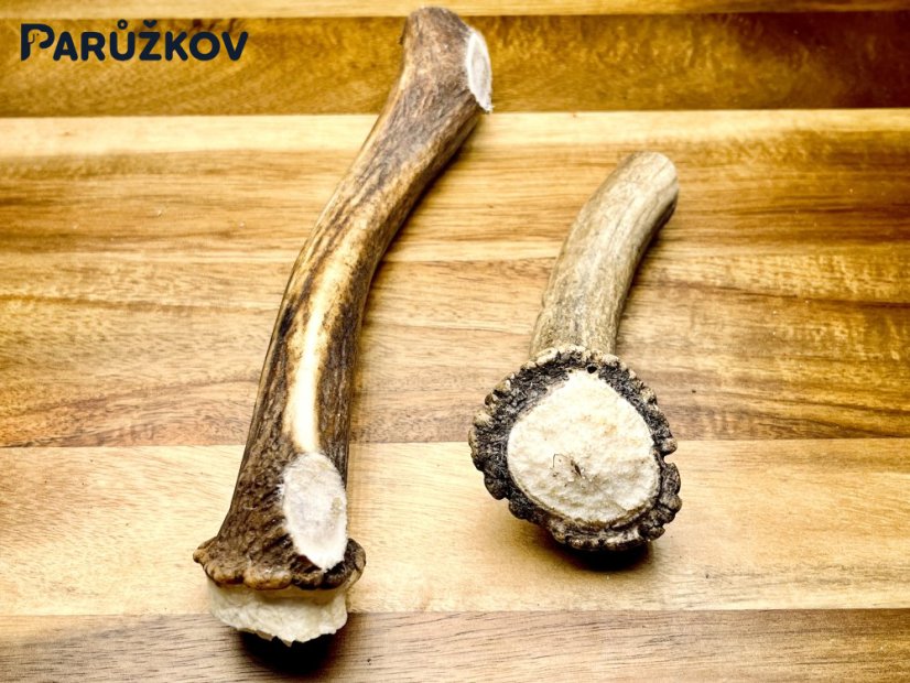 DANČÍ PAROHY - Duo (20 cm)