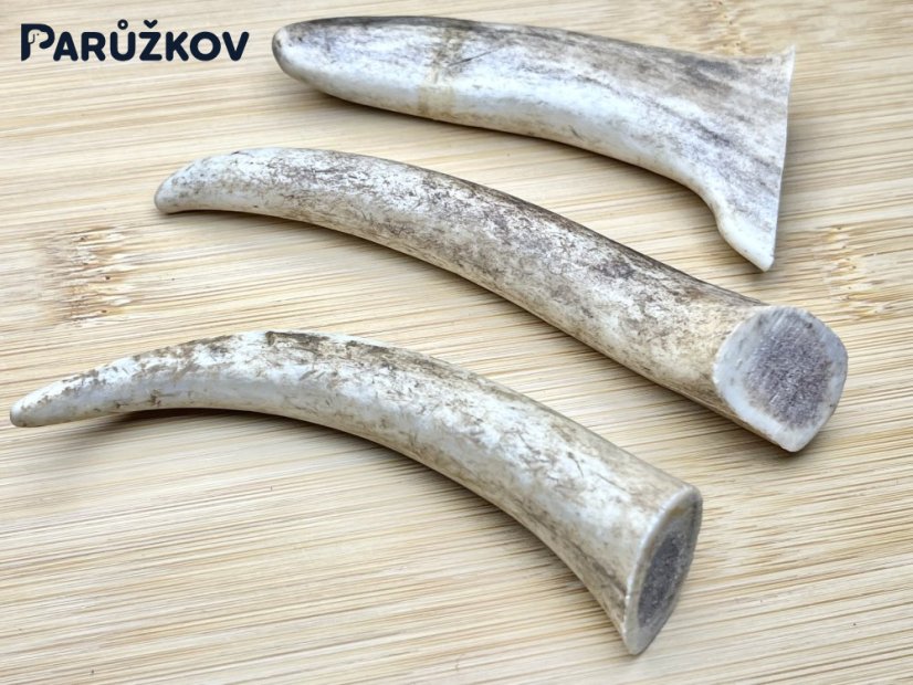 DANČÍ PAROHY - Trio (11 cm)