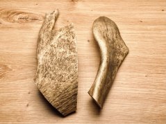 DANČÍ PAROHY - Duo (18 cm)