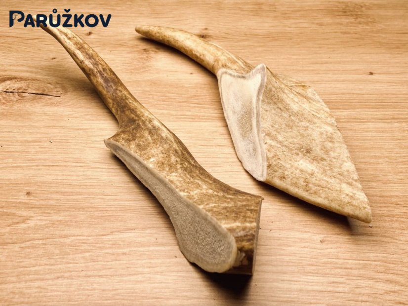 DANČÍ PAROHY - Duo (22 cm)