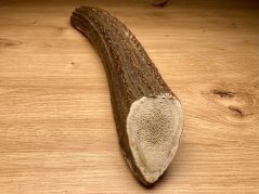 JELENÍ PAROHY - Půlený (27 cm)