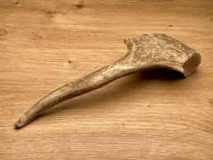 DANČÍ PAROHY (19 cm)